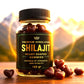 🔥 Gomas de Shilajit – Paga 1 y Llévate 2 con Envío Gratis 🔥