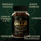 🔥 Gomas de Shilajit – Paga 1 y Llévate 2 con Envío Gratis 🔥